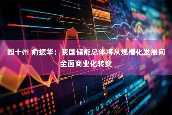 园十州 俞振华：我国储能总体将从规模化发展向全面商业化转变