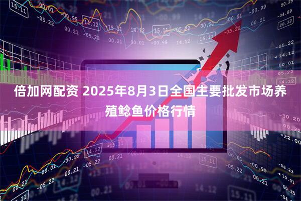 倍加网配资 2025年8月3日全国主要批发市场养殖鲶鱼价格行情