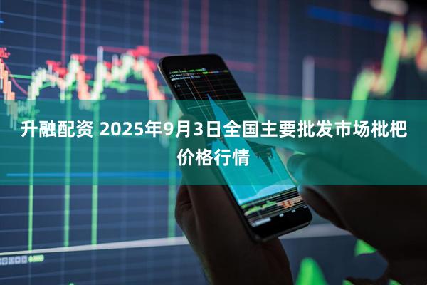 升融配资 2025年9月3日全国主要批发市场枇杷价格行情