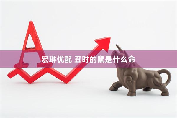 宏琳优配 丑时的鼠是什么命