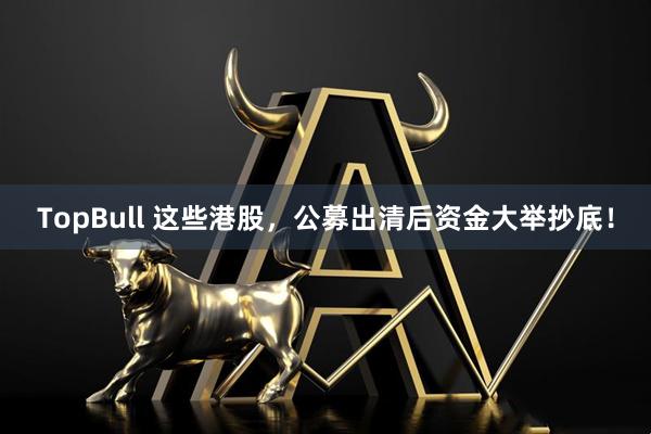 TopBull 这些港股，公募出清后资金大举抄底！