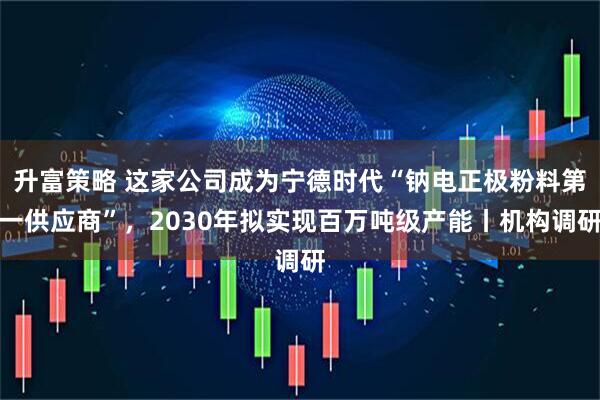 升富策略 这家公司成为宁德时代“钠电正极粉料第一供应商”,2030年拟实现百万吨级产能丨机构调研
