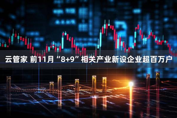 云管家 前11月“8+9”相关产业新设企业超百万户